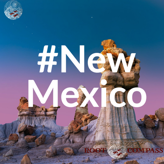 If I Could Land Anywhere in the World: New Mexico