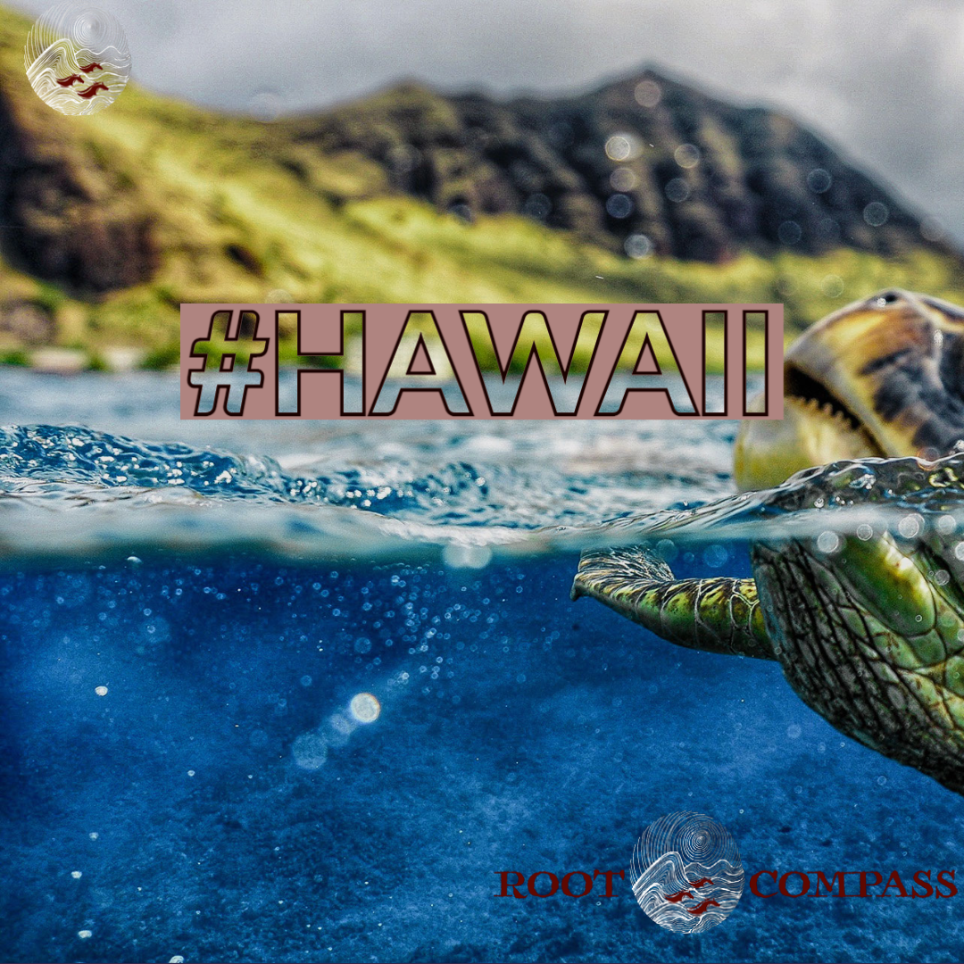 Big Trip: Hawaii